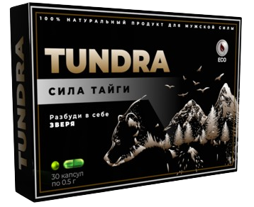 Tundra (Тундра)