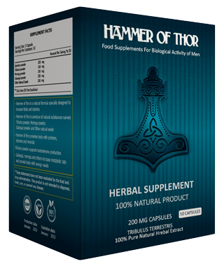 Hammer of Thor (مطرقة ثور)