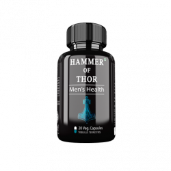 Hammer of Thor